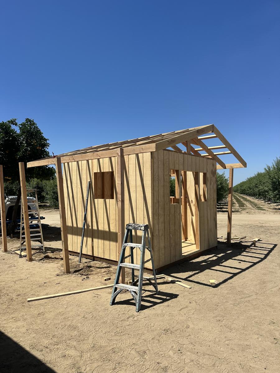 Taking shape
